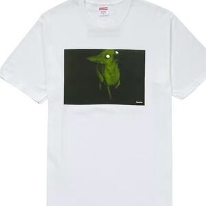 Supreme Chris Cunningham Chihuahua Tee Worn Once